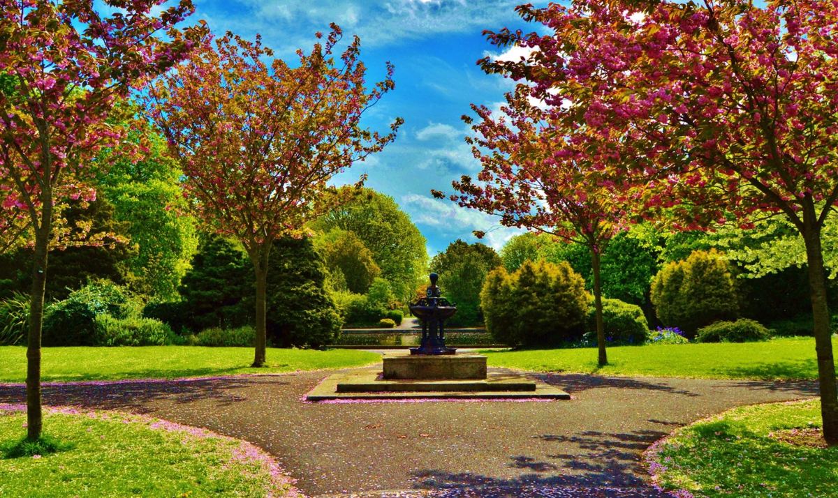 Herbert Park in Ballsbridge, Dublin 4 in spring — cherry blossom trees and ornamental fountain, a short walk from EirStay Donnybrook apartments